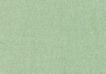 CAMISA PIQUE VERDE PASTEL