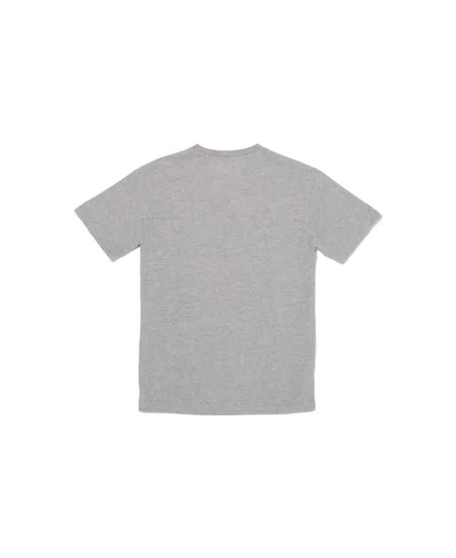 CAMISETA VOLCOM BOY SKULLSKATE GRIS (814 AñOS)