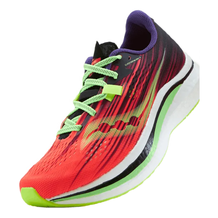Saucony Endorphin Pro 2 Vizi Pro