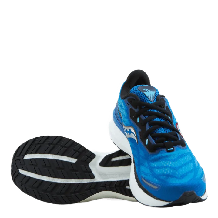 Saucony Triumph 19 Royal/space