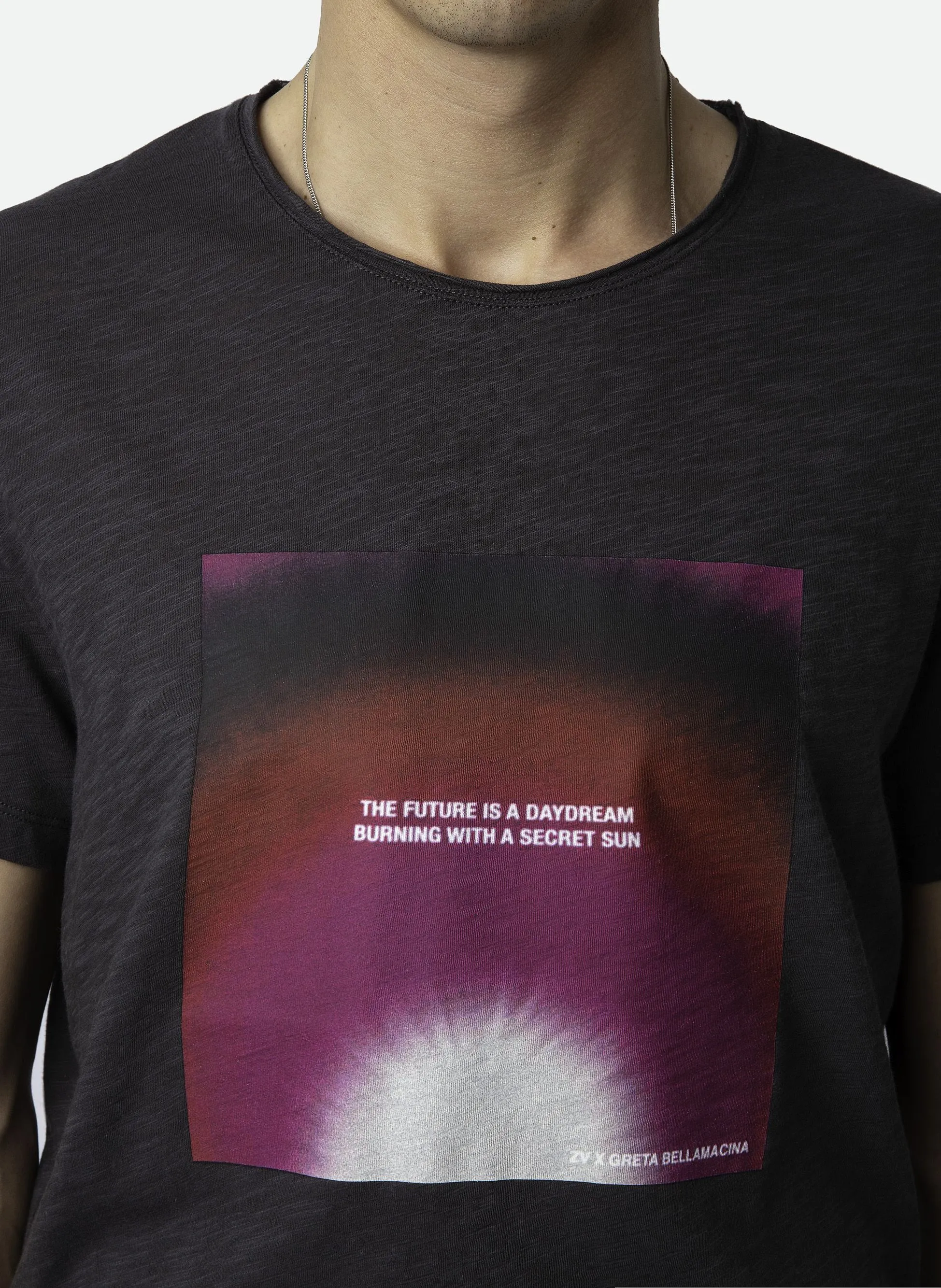 ZADIG&VOLTAIRE TOBY  CAMISETA ESTAMPADA DE ALGODóN ORGáNICO EN GRIS